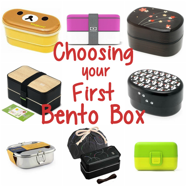 How to Choose your Bento Box – Bento&co