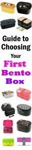 The ultimate guide to choosing your first bento box. Guaranteed to have the perfect match for your specific needs! Get the full guide at loveatfirstbento.com