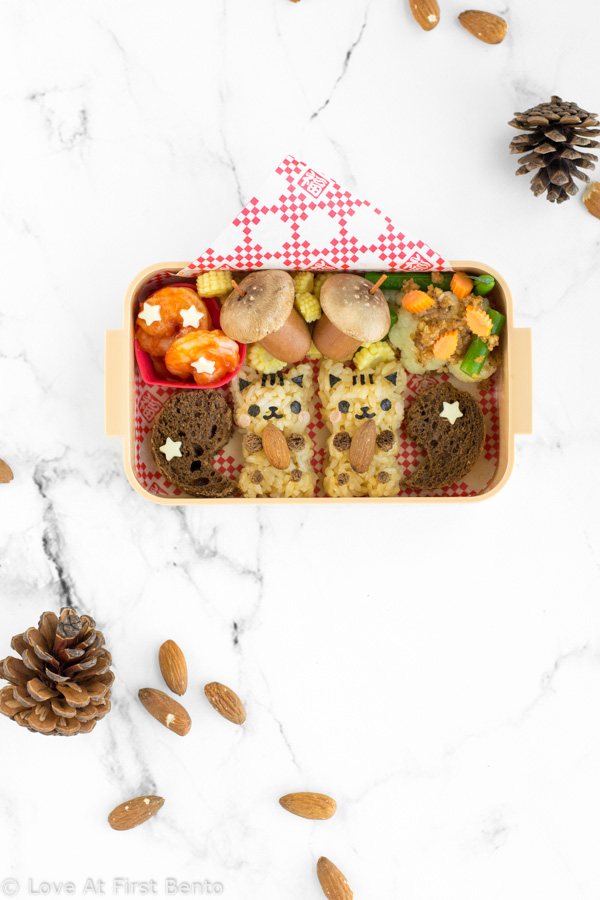 Autumn Squirrel Onigiri Bento - Love At First Bento