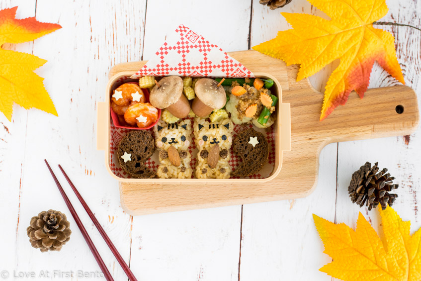 Autumn Squirrel Onigiri Bento Box - Get into the fall spirit by learning how to make these irresistibly cute squirrel onigiri! They make the perfect addition to any fall themed bento or lunch box. Step-by-step instructions + video tutorial will help you recreate them with ease! | loveatfirstbento.com
