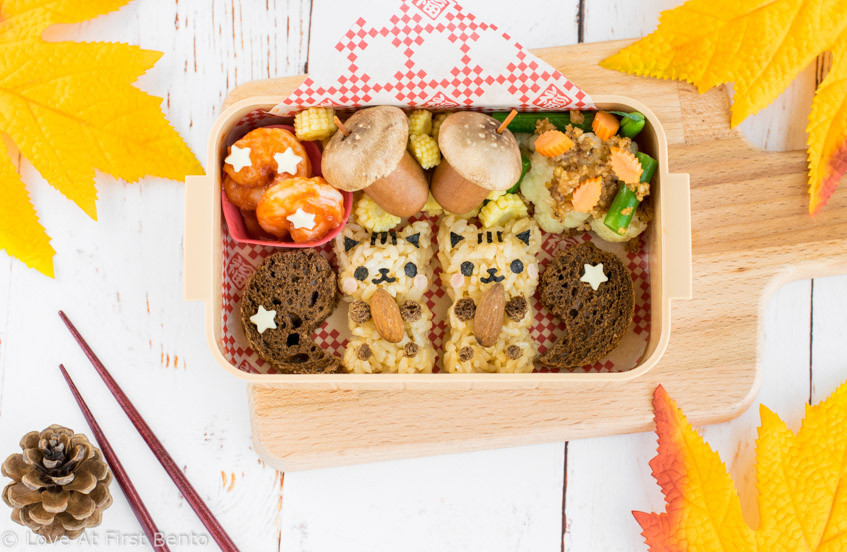 Autumn Squirrel Onigiri Bento Box - Get into the fall spirit by learning how to make these irresistibly cute squirrel onigiri! They make the perfect addition to any fall themed bento or lunch box. Step-by-step instructions + video tutorial will help you recreate them with ease! | loveatfirstbento.com