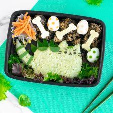 How to Make a Dinosaur Bento Box from Everyday Bento - an American Bento  Tutorial 