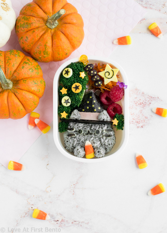 https://loveatfirstbento.com/wp-content/uploads/2017/10/Witch-Pusheen-Halloween-Bento-Box-16.jpg