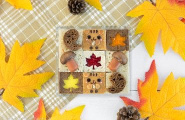 Autumn Squirrel Mosaic Sandwich Bento - Kids & adults will FLIP over this adorable fall bento box! Made entirely out of sandwiches that use simple, pantry-staple ingredients, even the pickiest of eaters will adore this fun and yummy kid-friendly lunch! Get the recipe at: loveatfirstbento.com